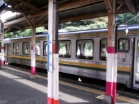train-kiha120-5-shinji2-s.JPG