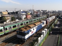 train-EF64-1008-warabi-s.JPG