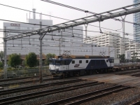 train-EF64-1017-warabi20091110-s.JPG