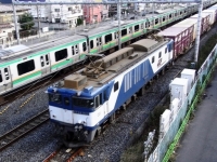 train-EF64-1013-warabi20091204-s.JPG