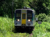 train-kiha37-kazusamatsuoka-s.JPG
